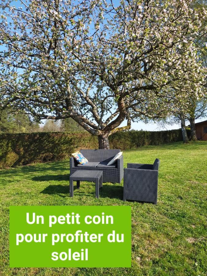 Appartamento La Marmotte Du Vivier Étival-Clairefontaine Esterno foto